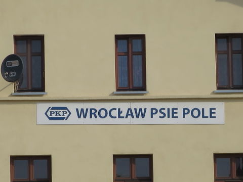 Psie Pole view 2