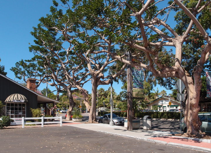 Carlsbad district