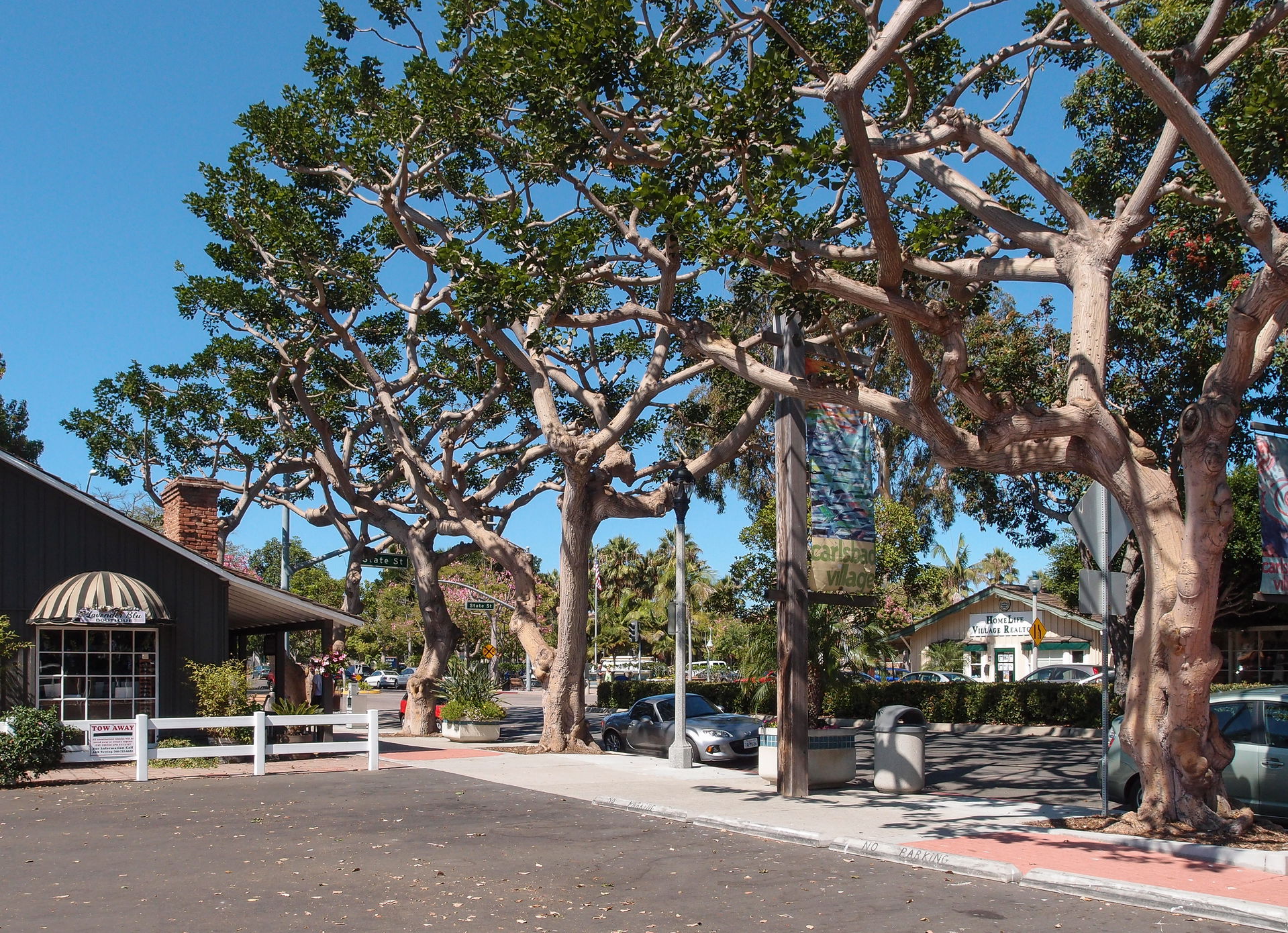 Carlsbad view 2