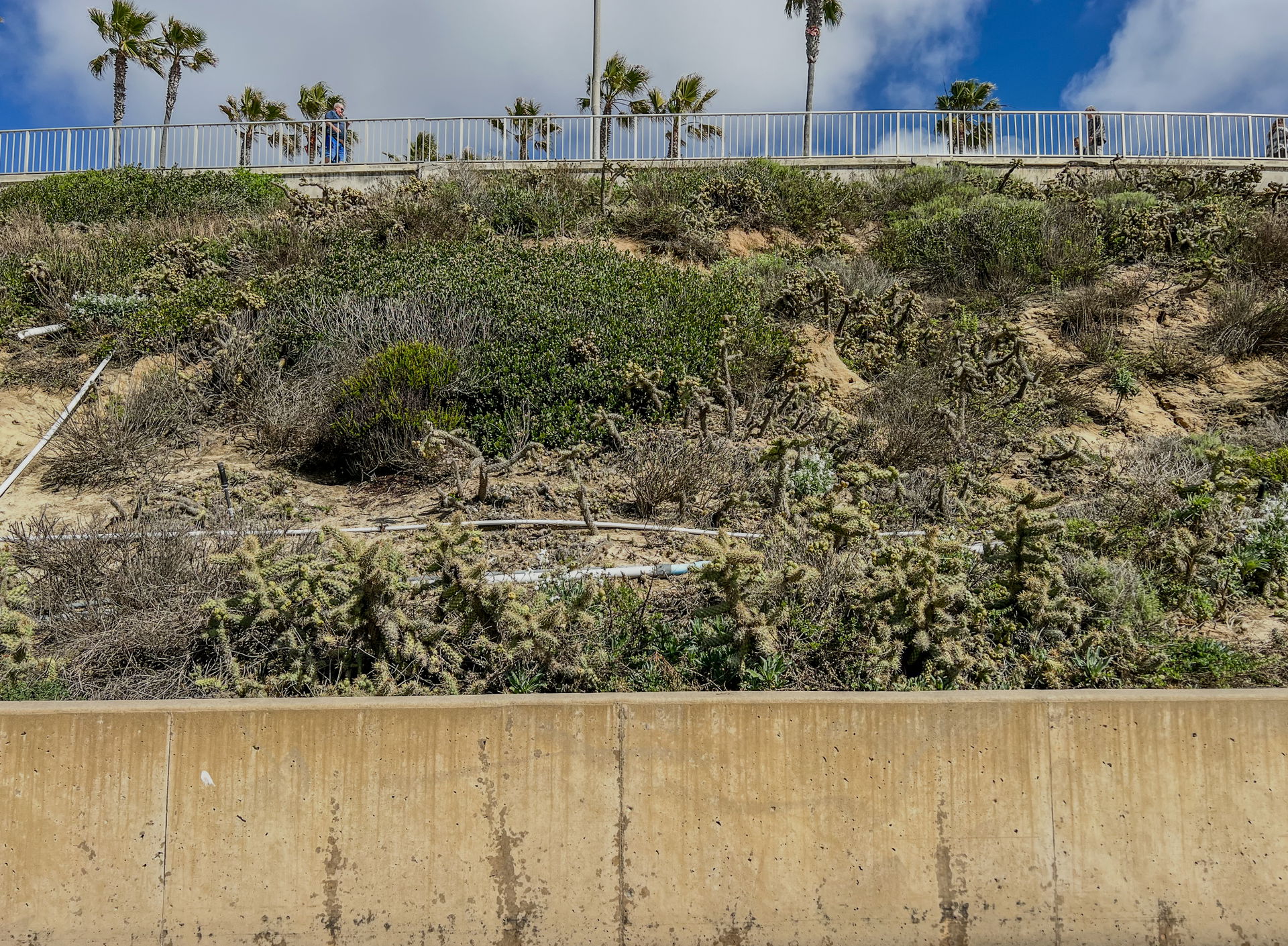 Carlsbad view 5