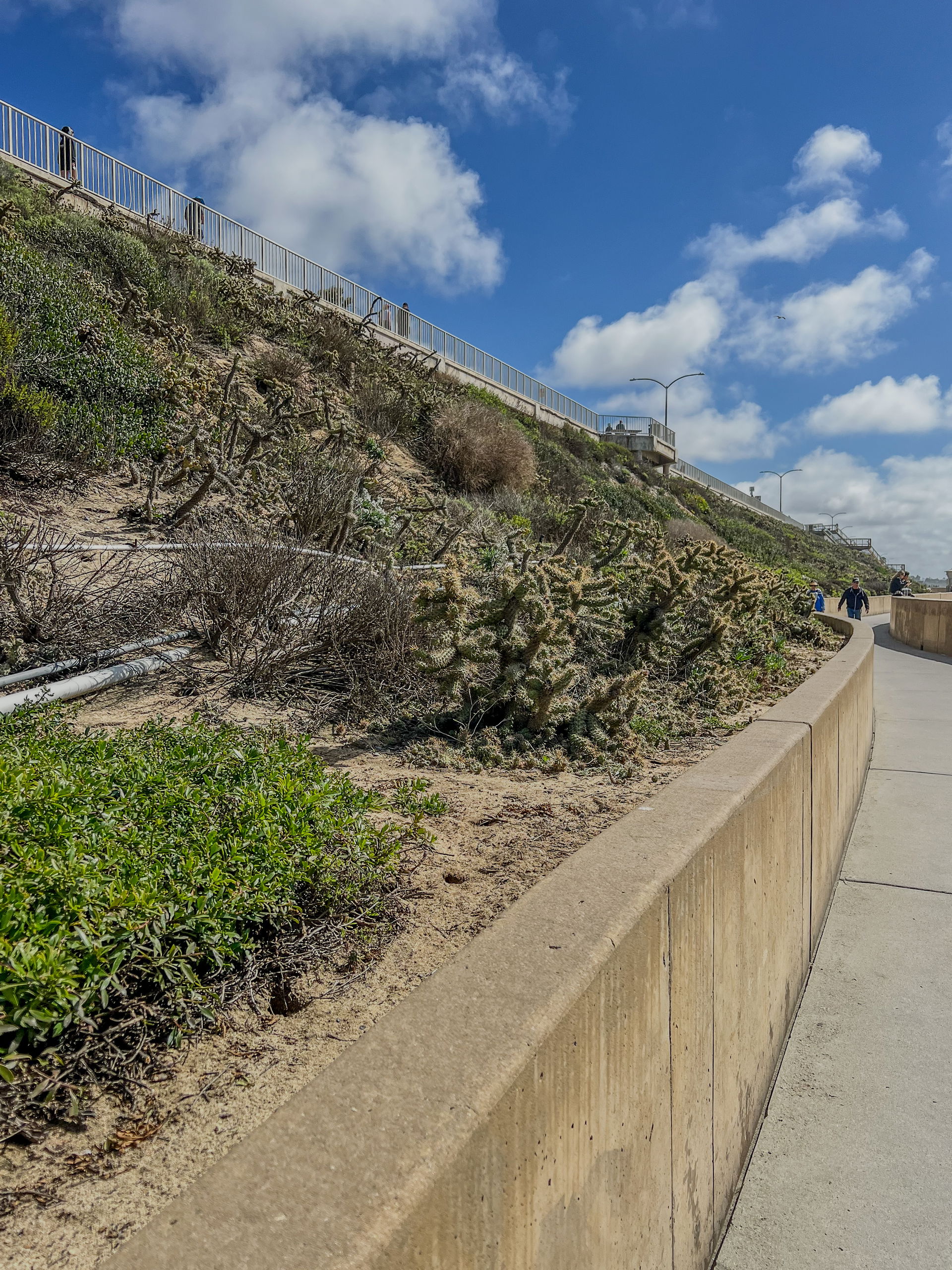 Carlsbad view 4