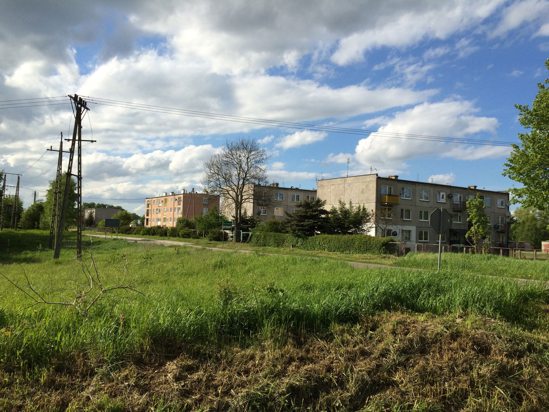 Grunwald view 4