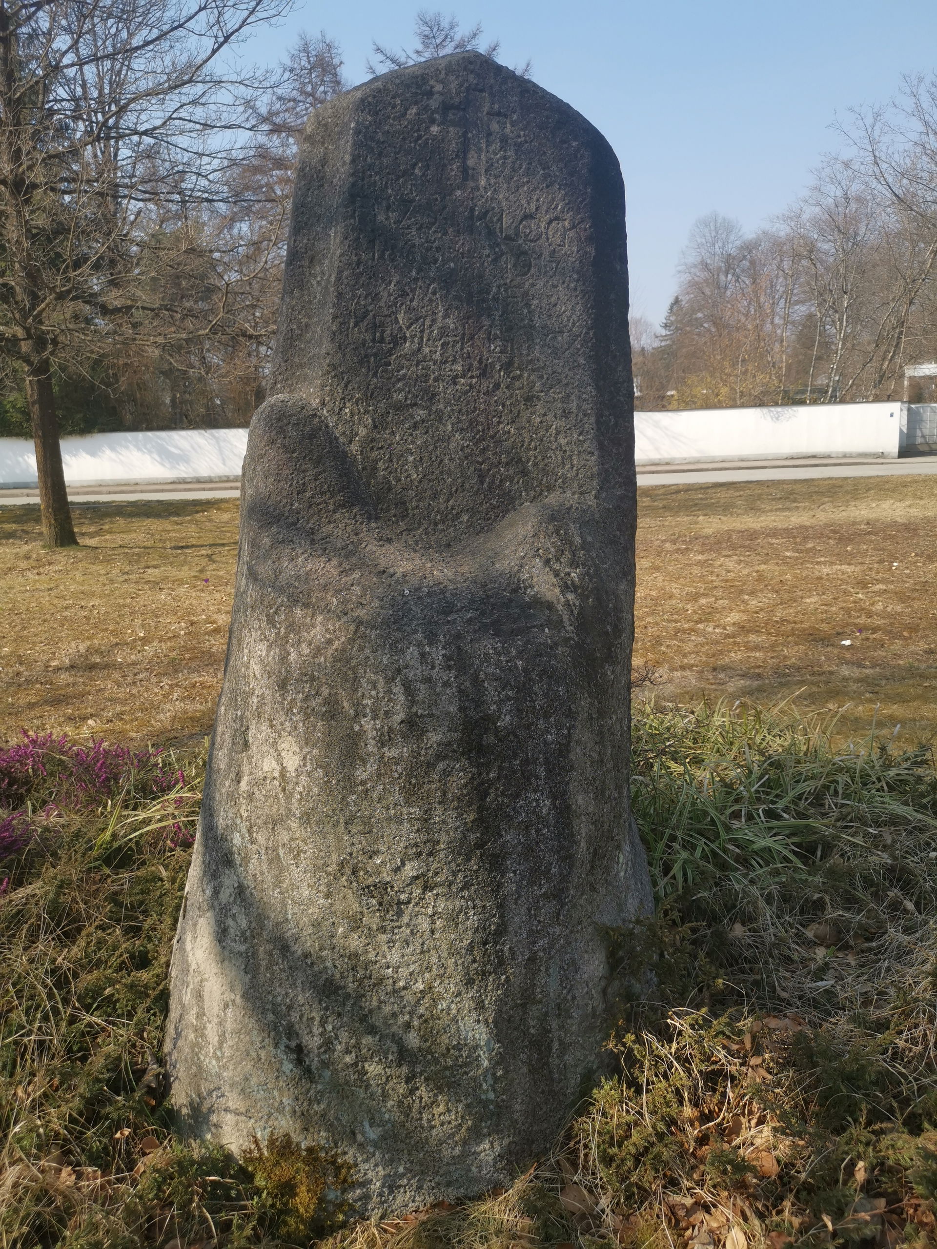 Grunwald view 5