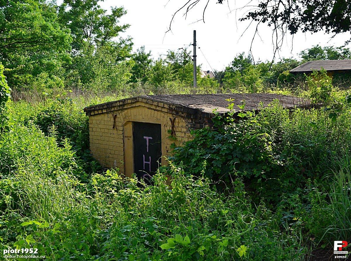 Sośnica view 5