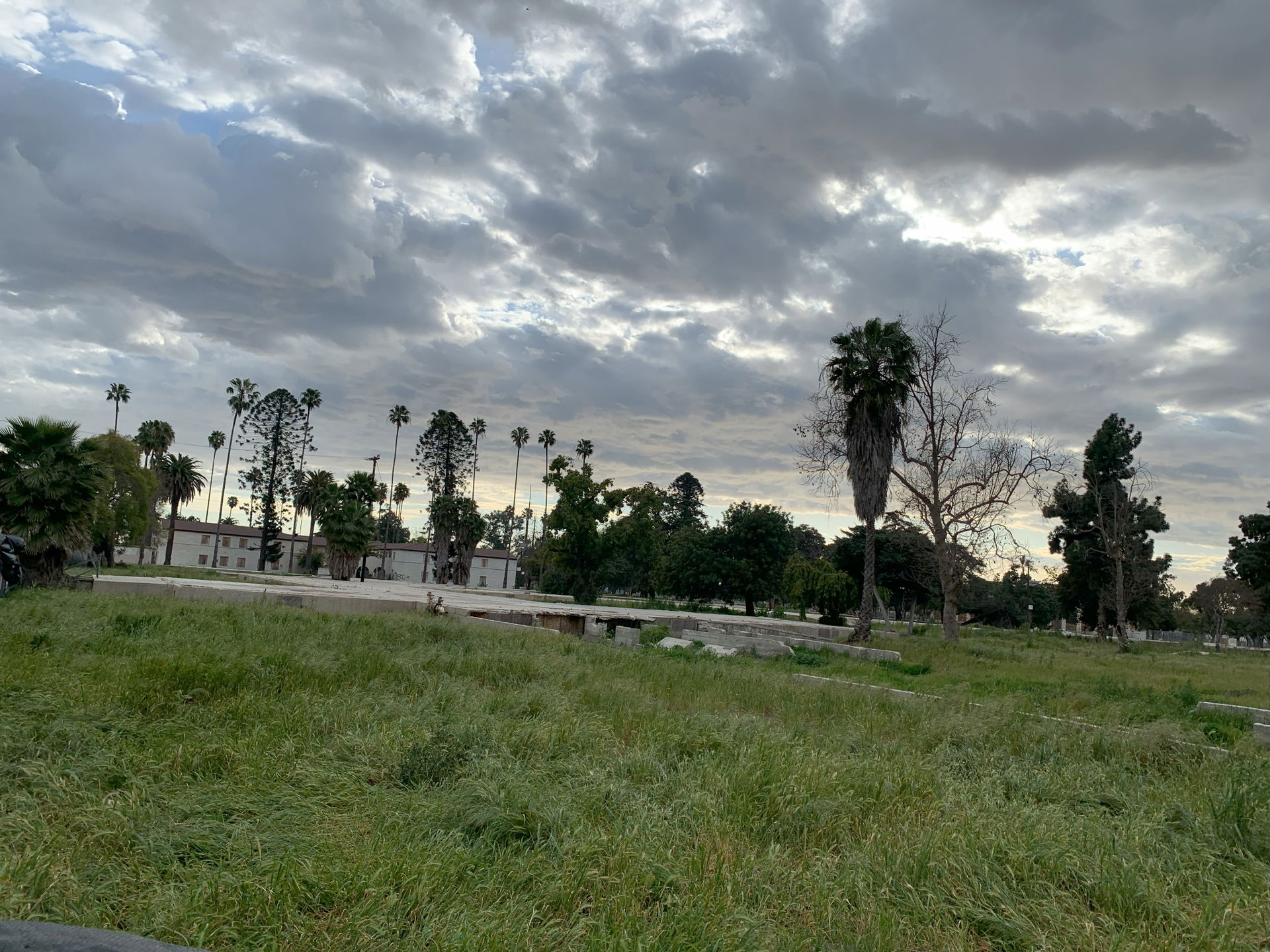 Downey view 2