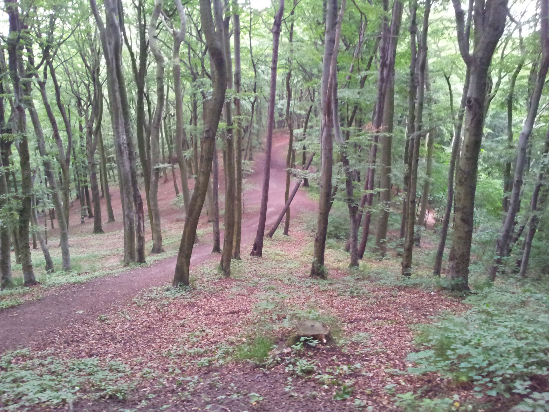 Wrzeszcz Dolny view 5