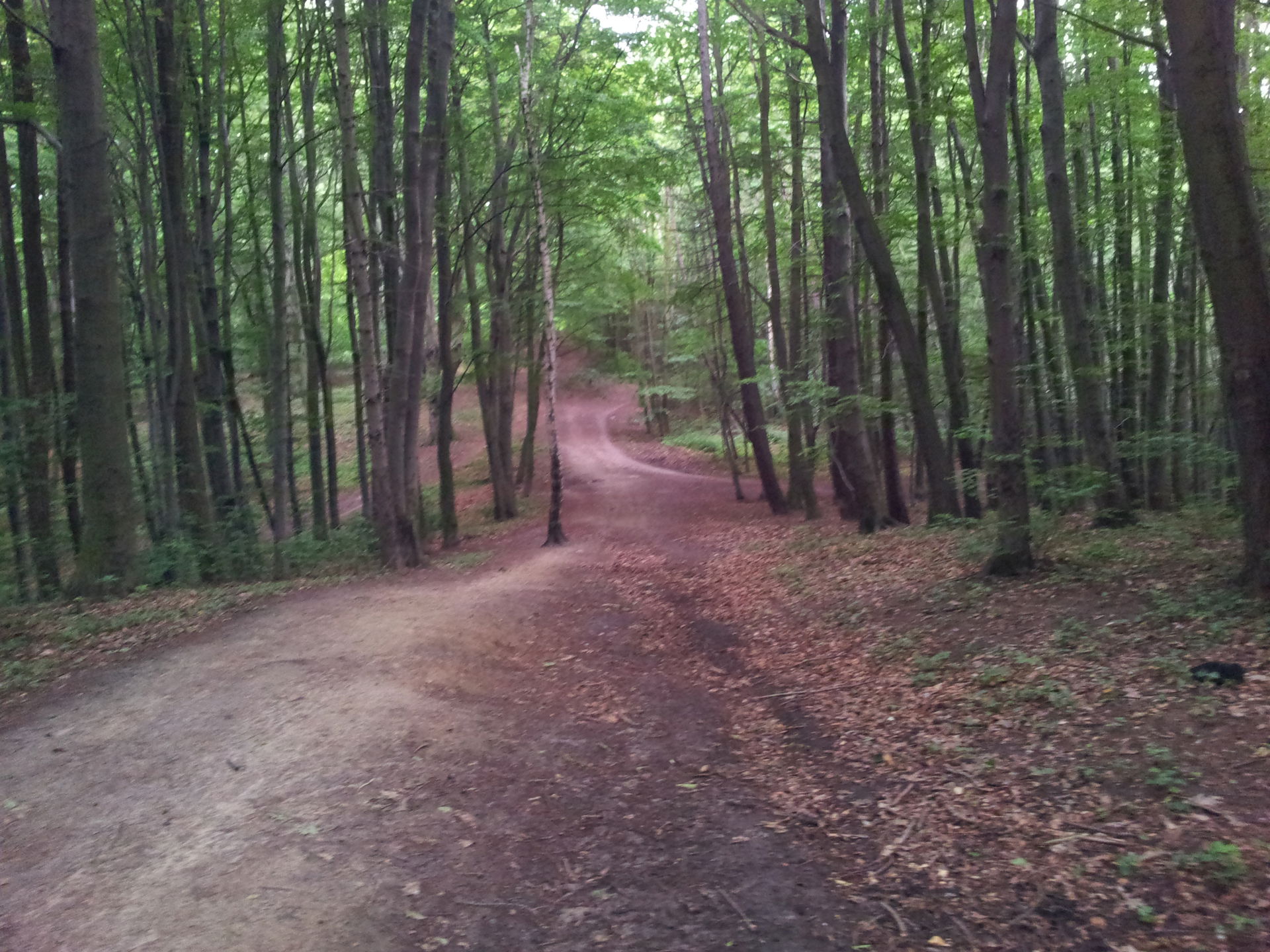 Wrzeszcz Dolny view 2