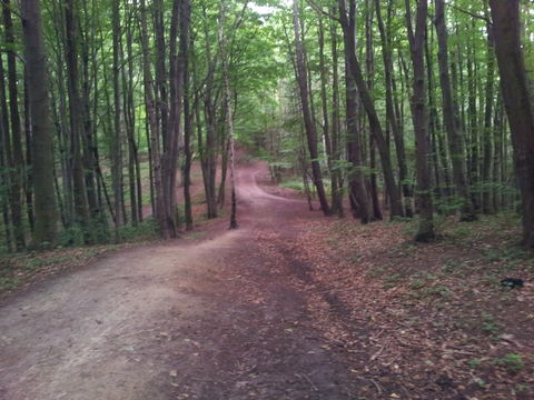Wrzeszcz Dolny view 2