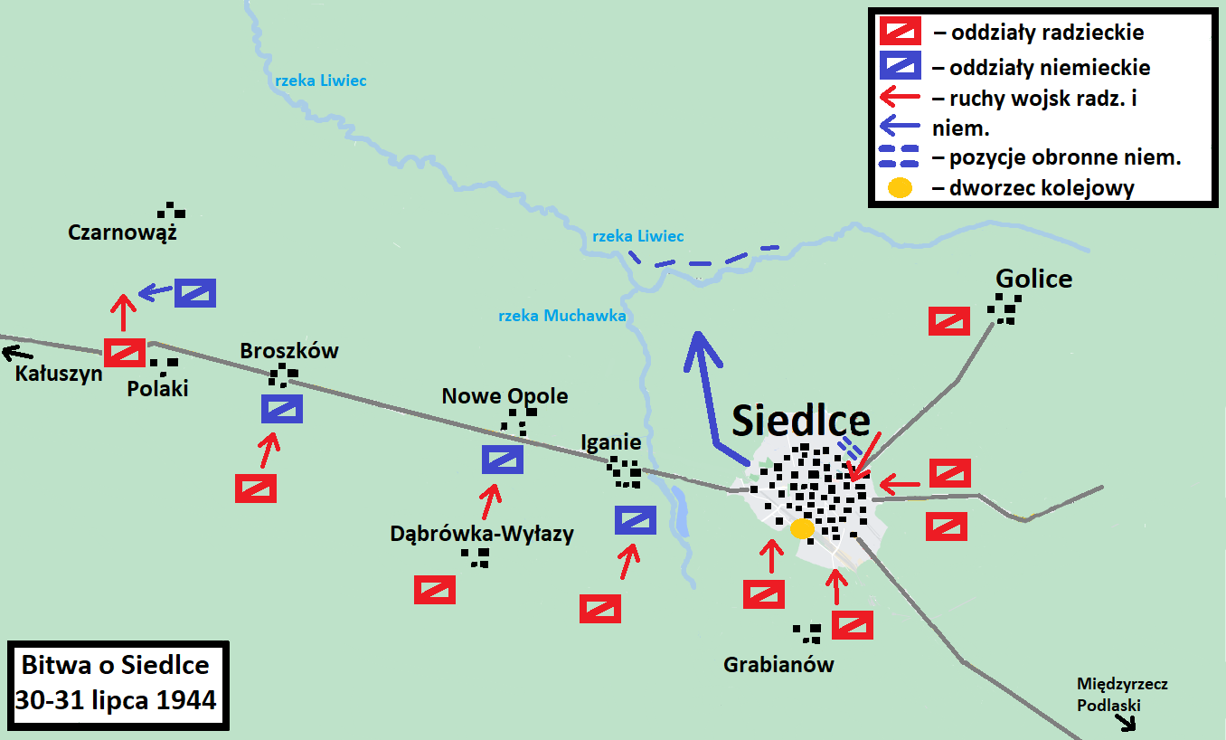 Siedlce view 5