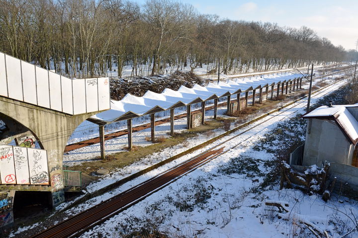 Pogodno district