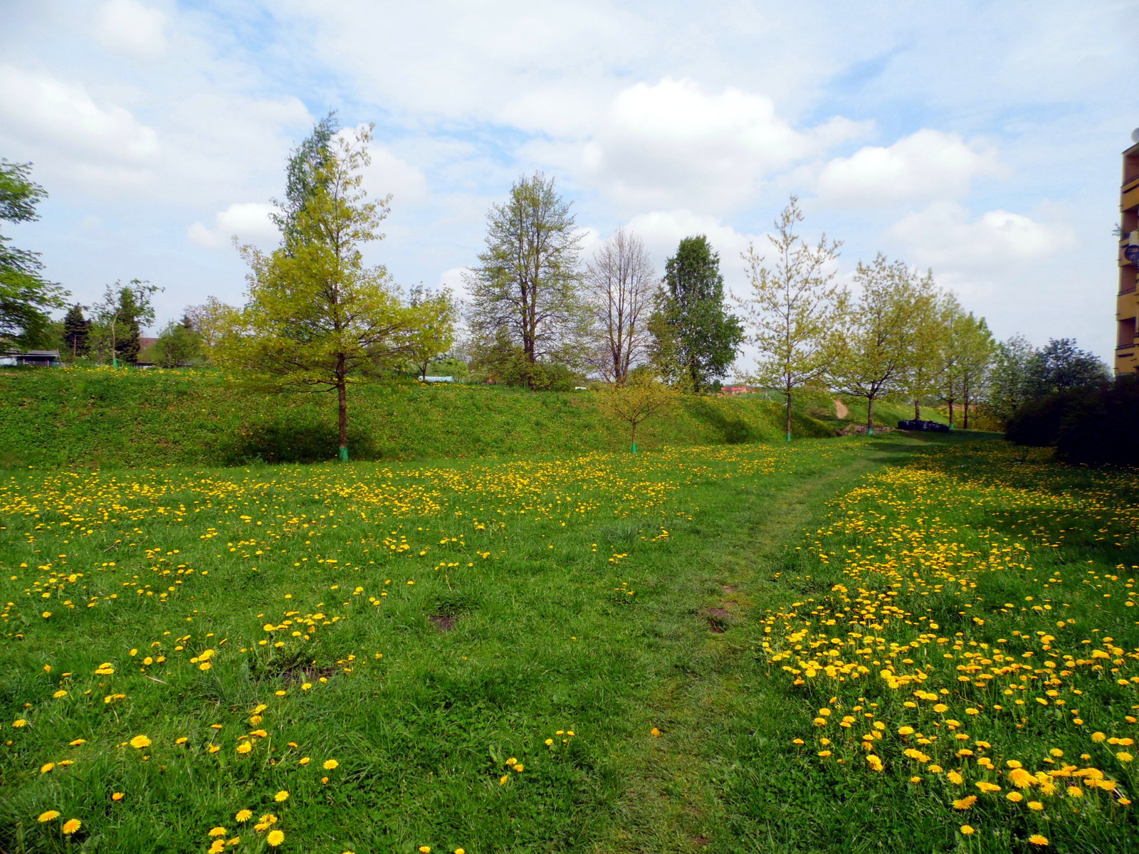 Żelechowa district