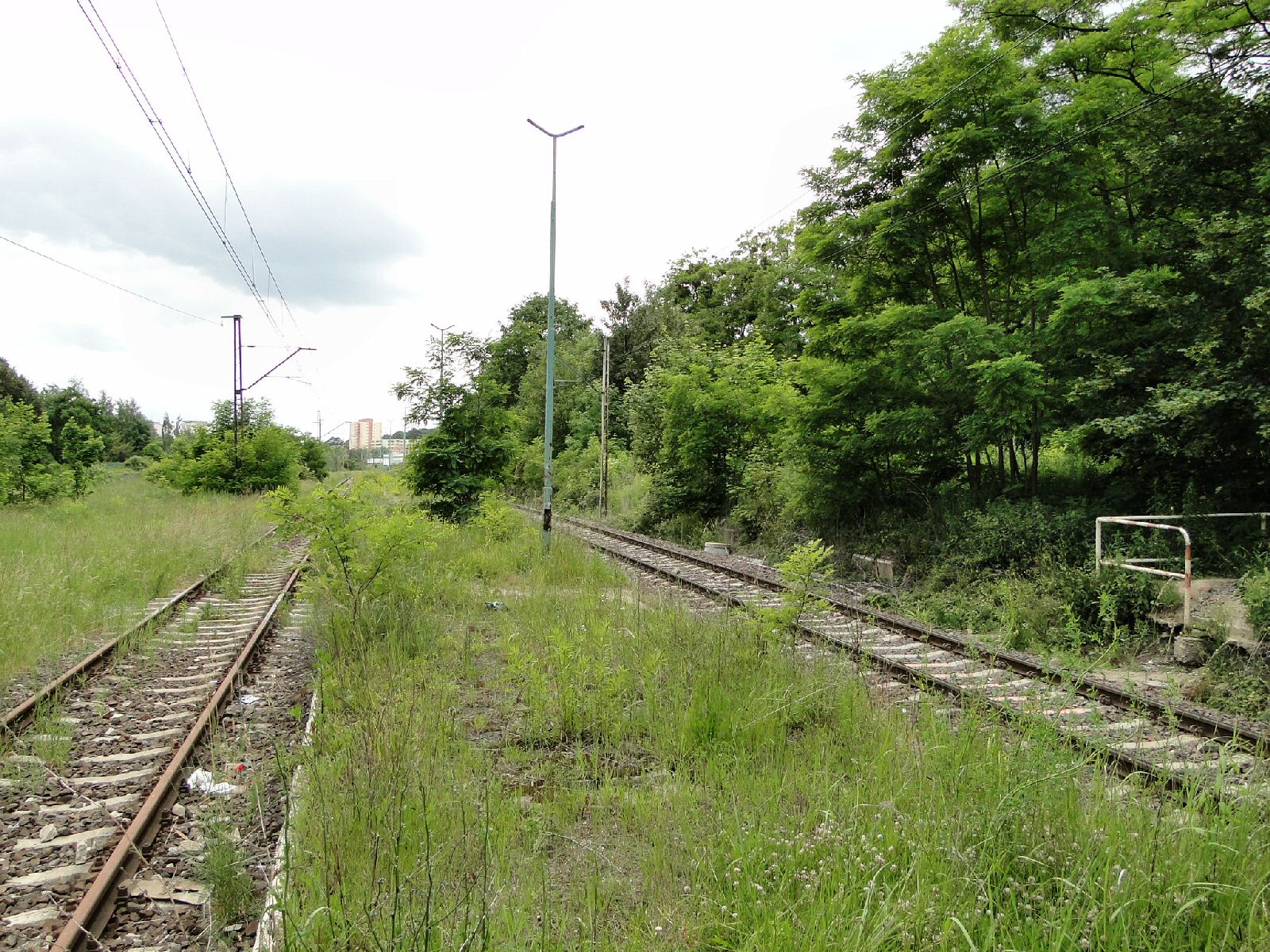 Żelechowa view 2
