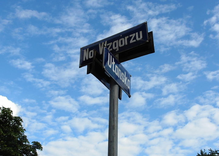 Wilczak district
