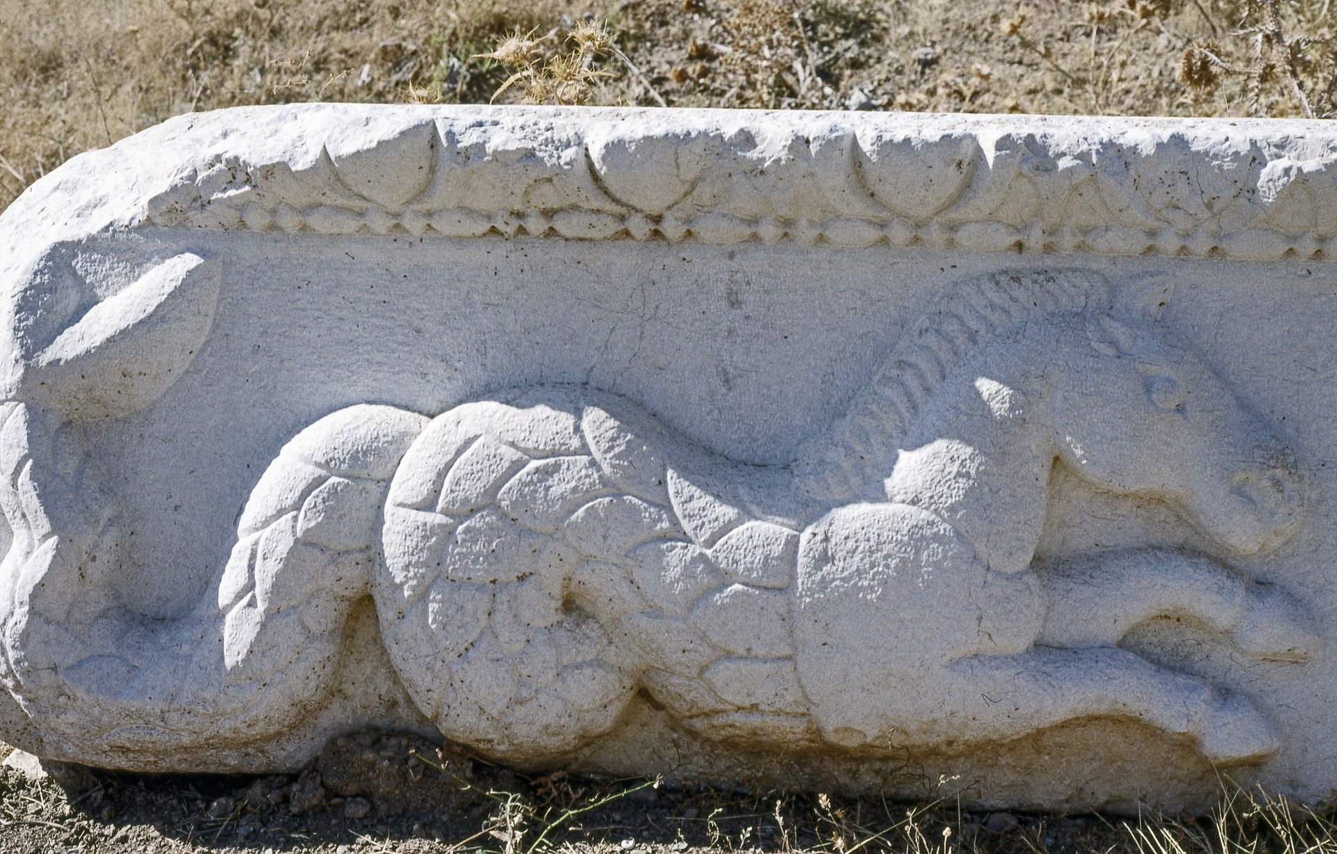 Antioch City Proper view 2