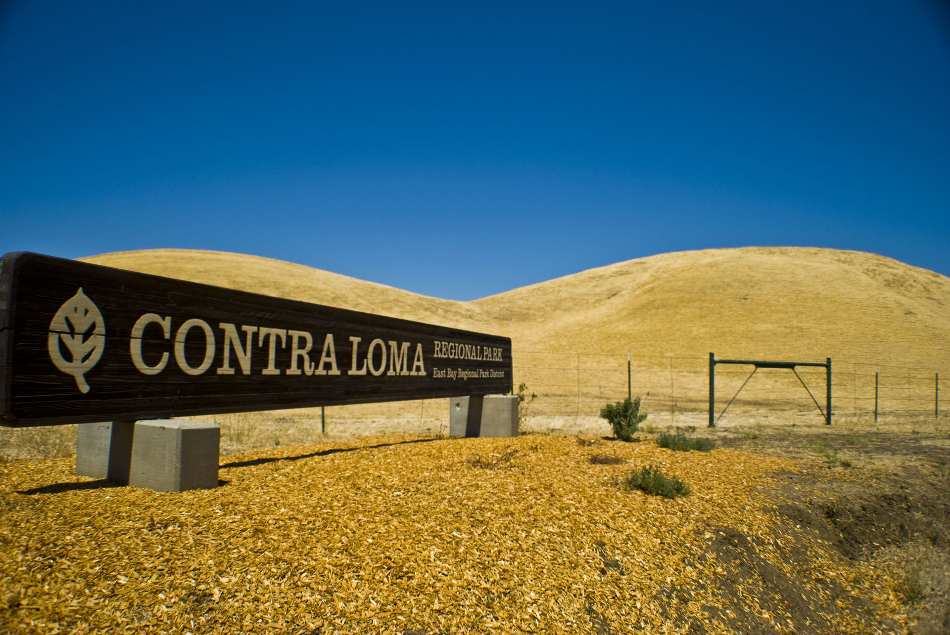 Contra Loma view 3
