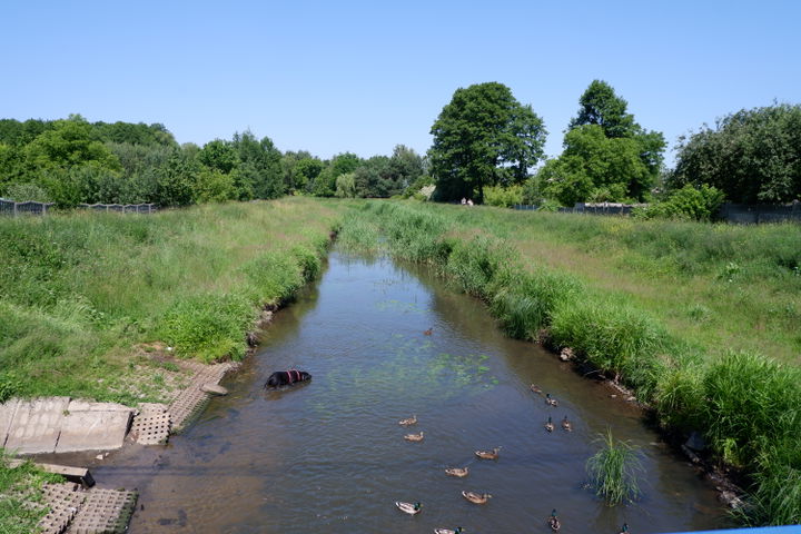 Raków district