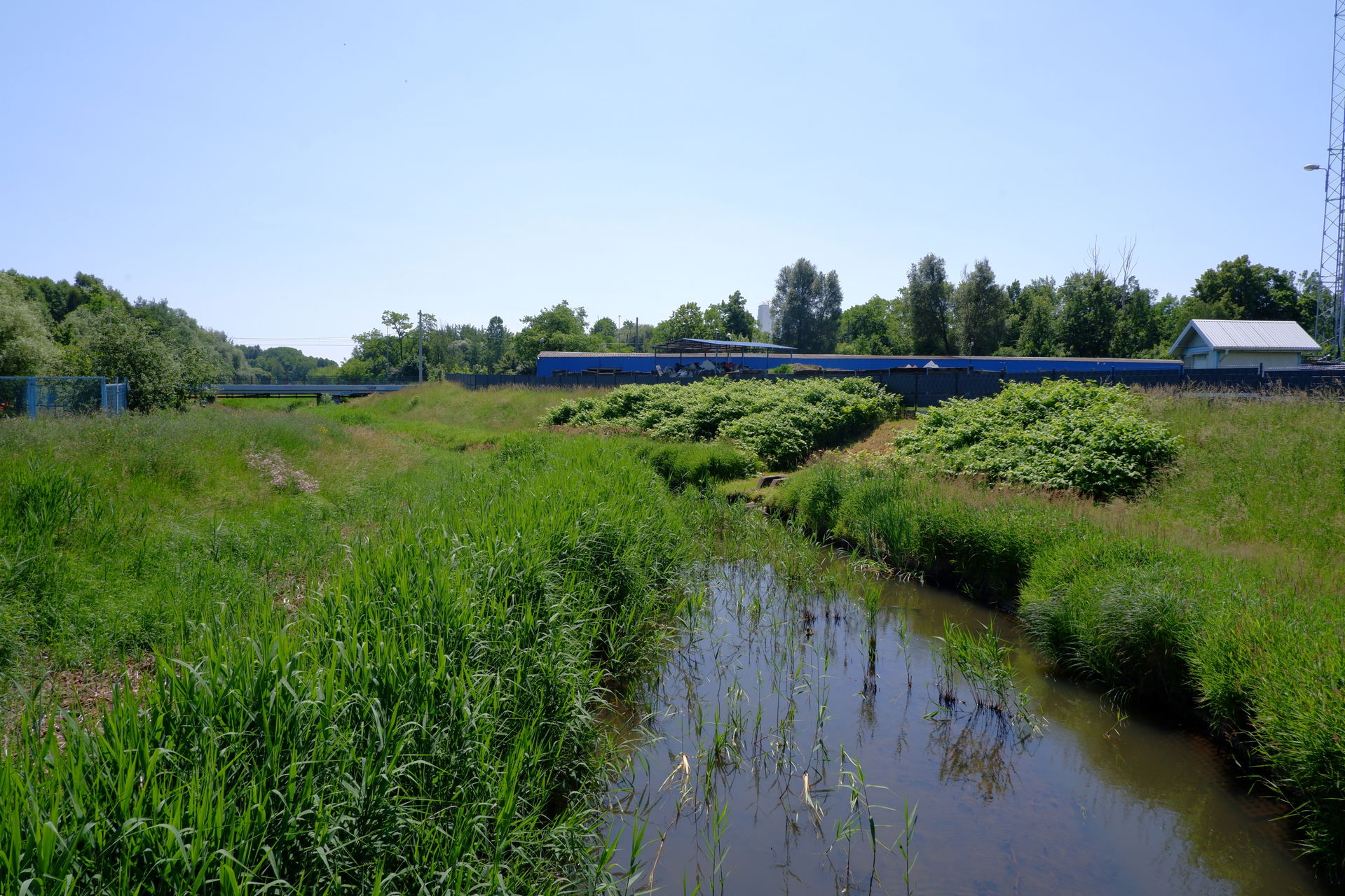 Raków view 5