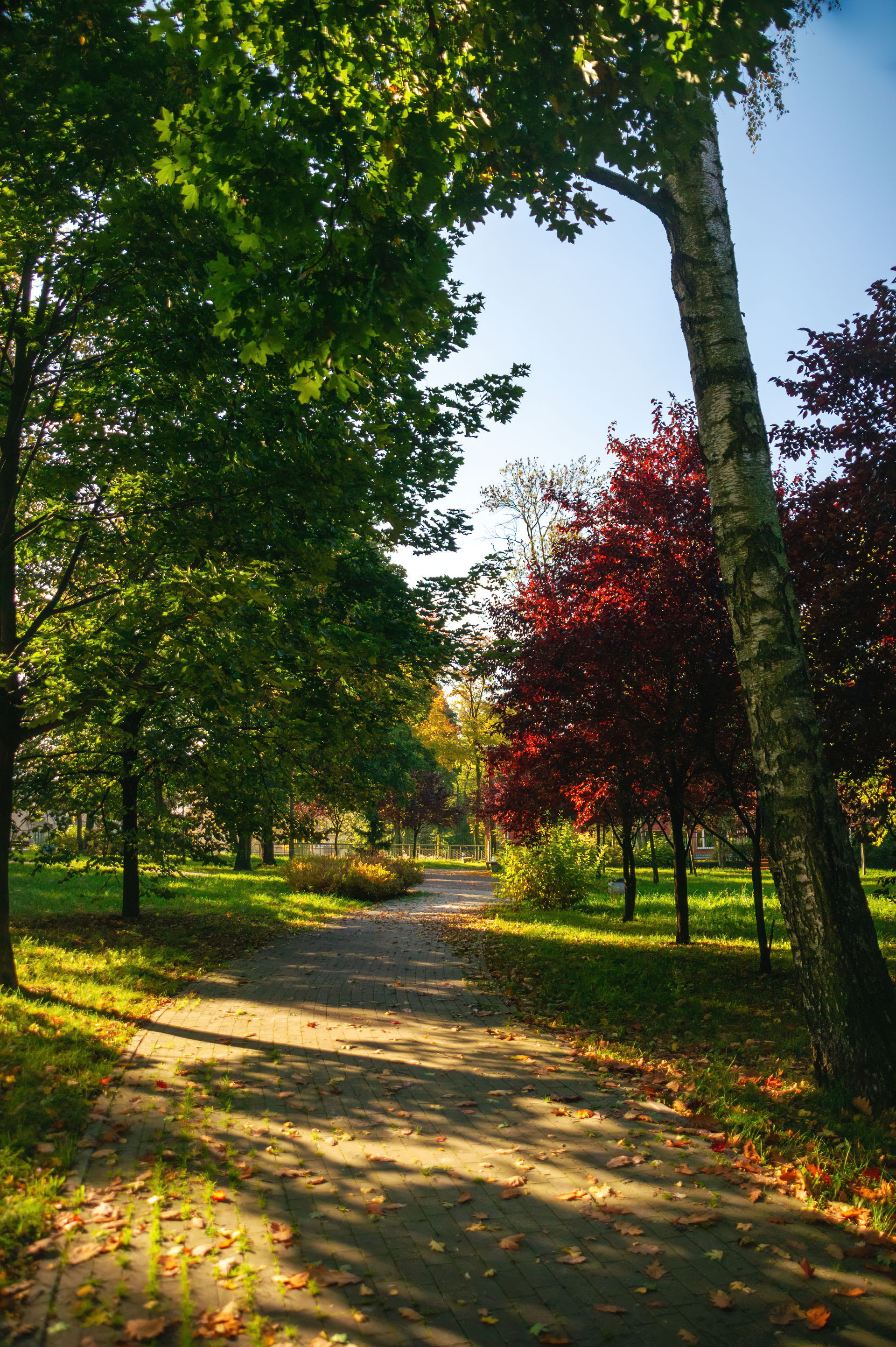 Milowice view 4