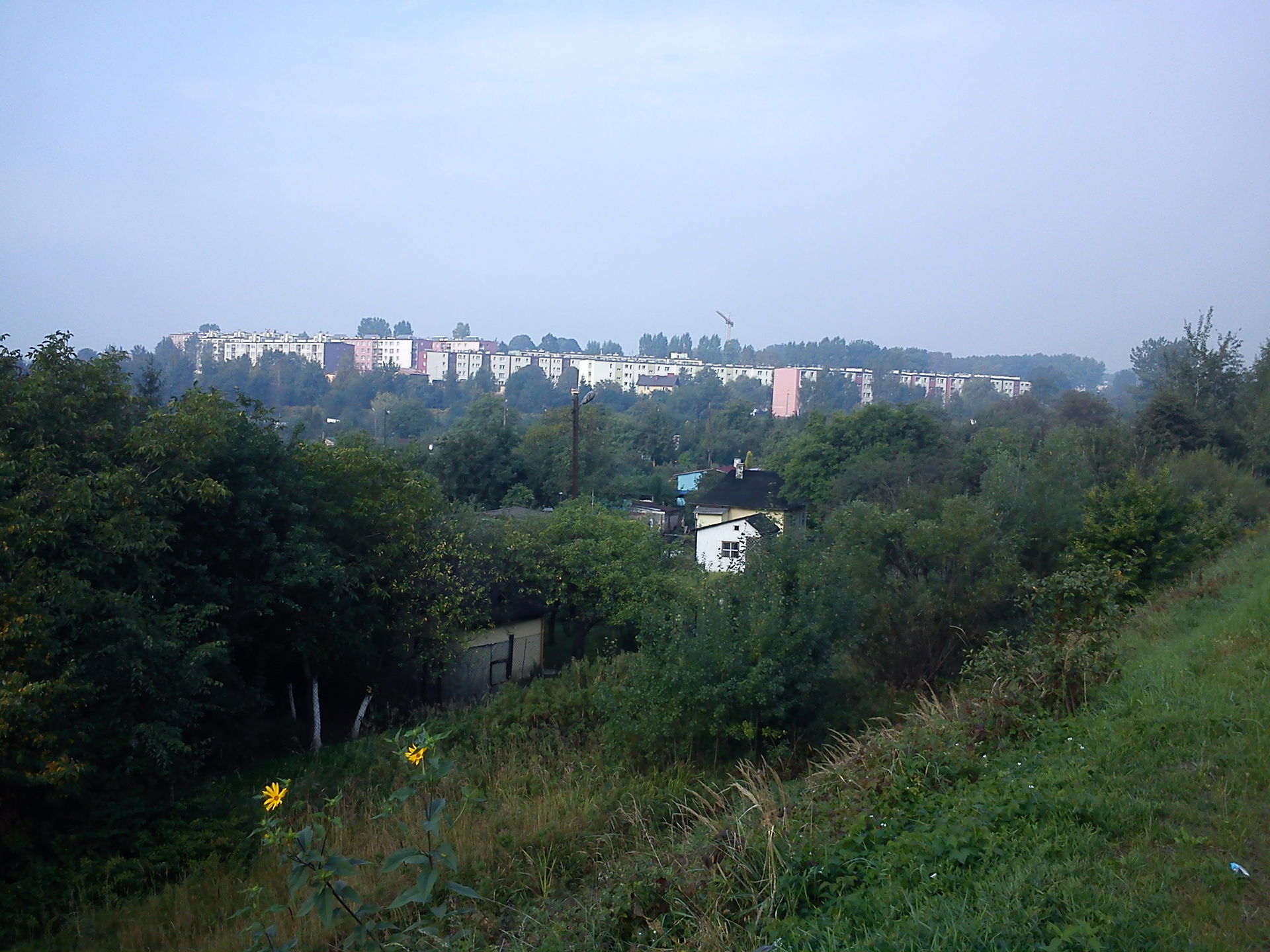 Klimontów view 4