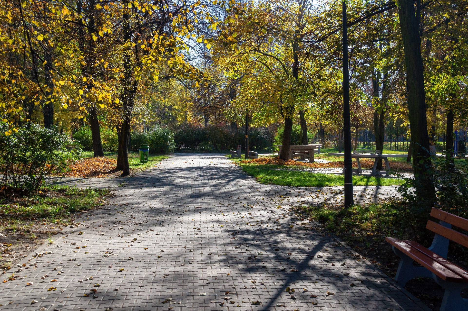 Park Mazura, Porąbka, Sosnowiec