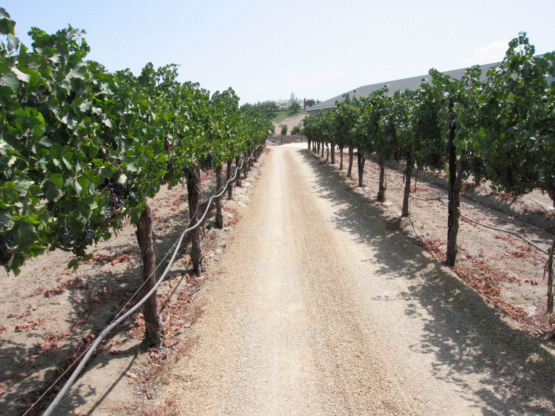 Temecula City view 4