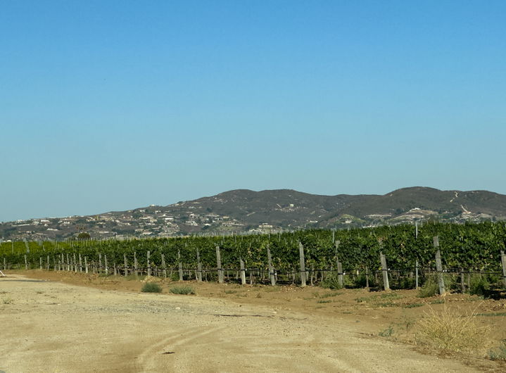 Wine Country district