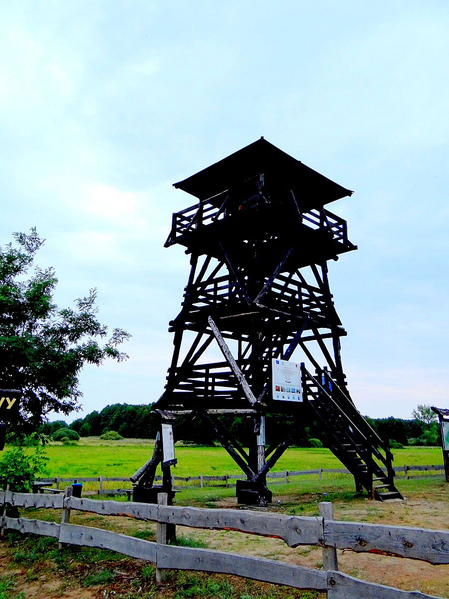 Czarnów view 4