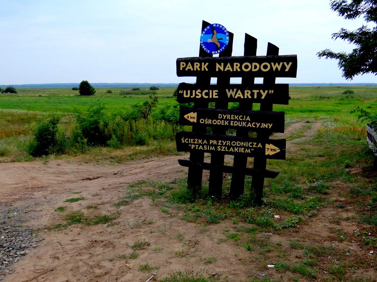 Czarnów view 5