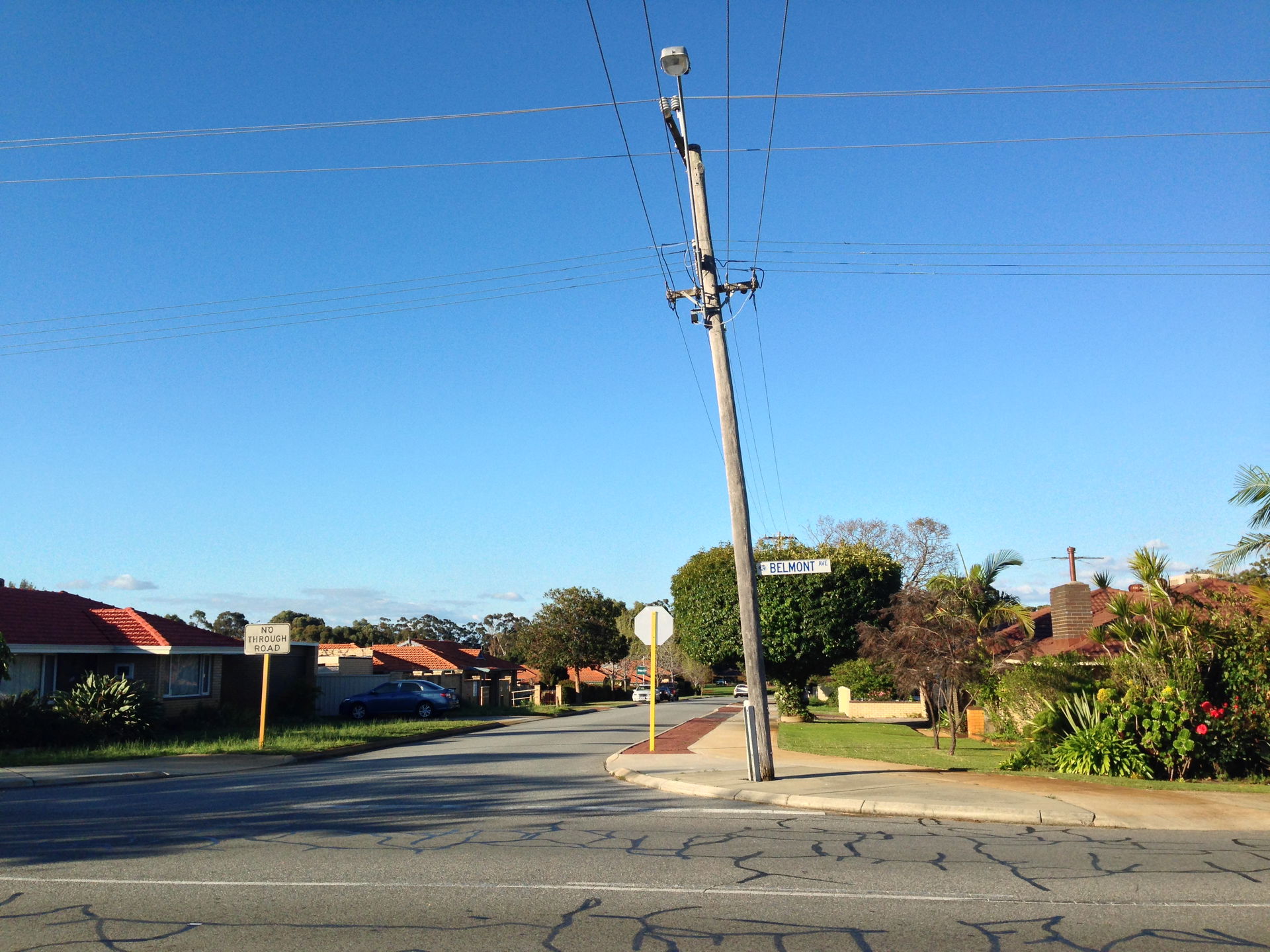 Timber power poles that are neither truly vertical (or horizont…