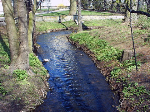 Mokre view 2