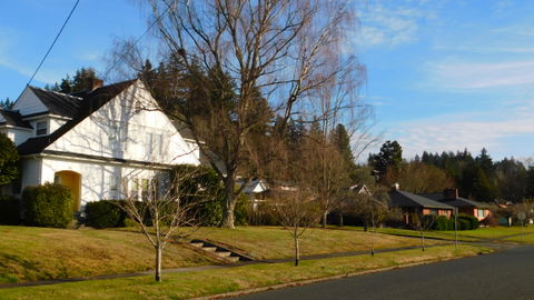 Hillside view 1