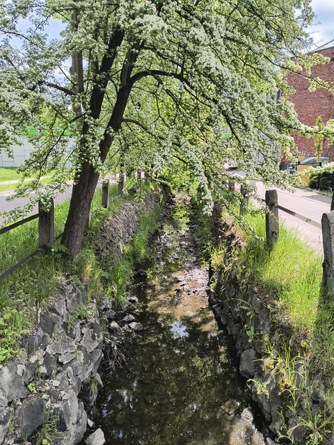Mikulczyce view 2