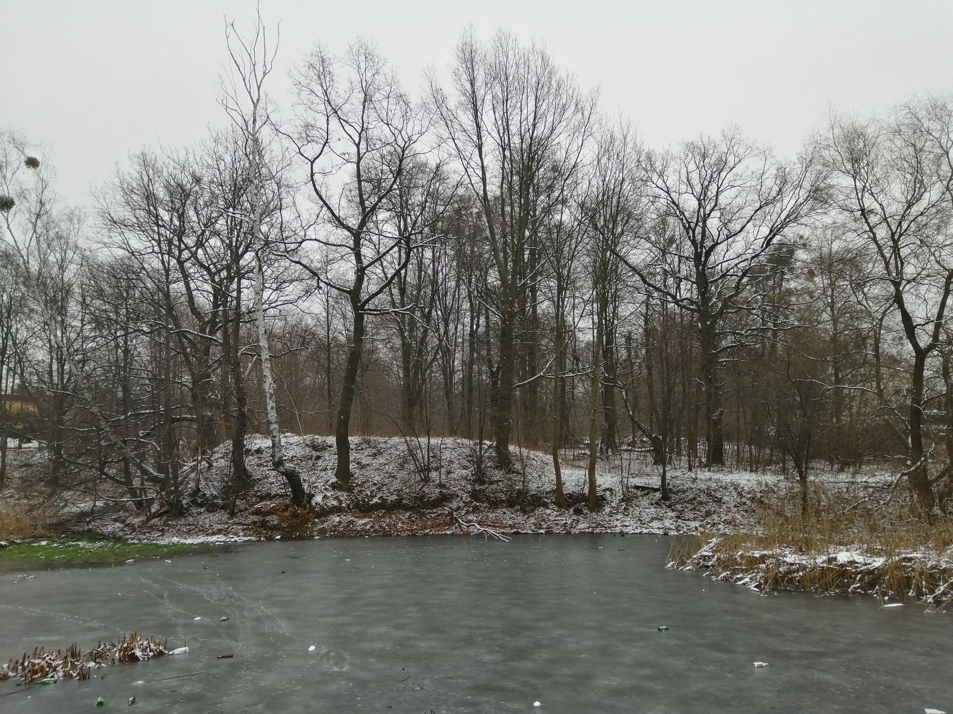 Rokitnica view 5