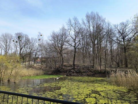 Rokitnica view 2