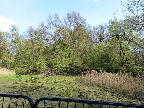 Rokitnica view 1
