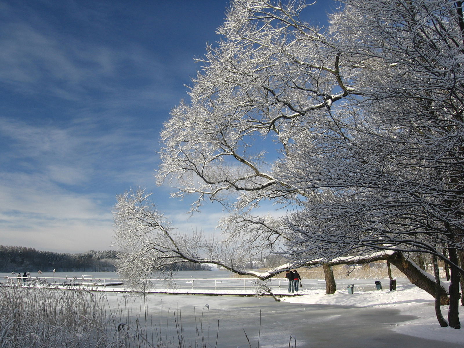 Kortowo view 4