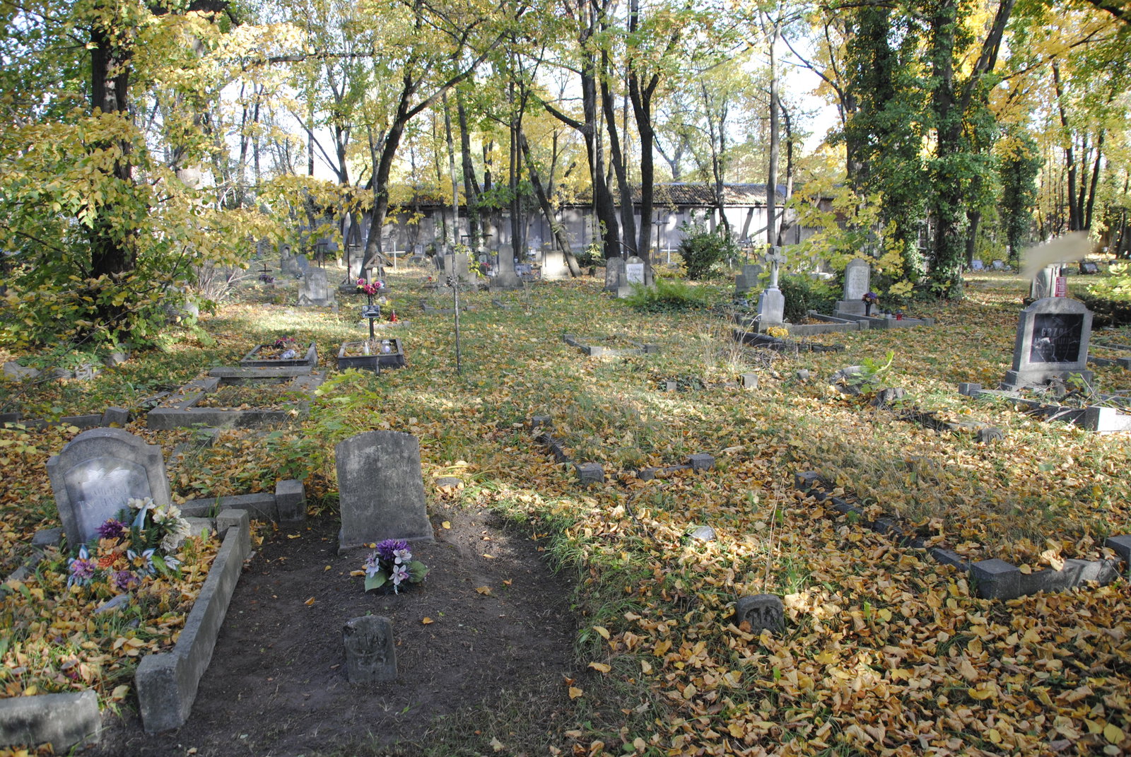 Zakrzów district