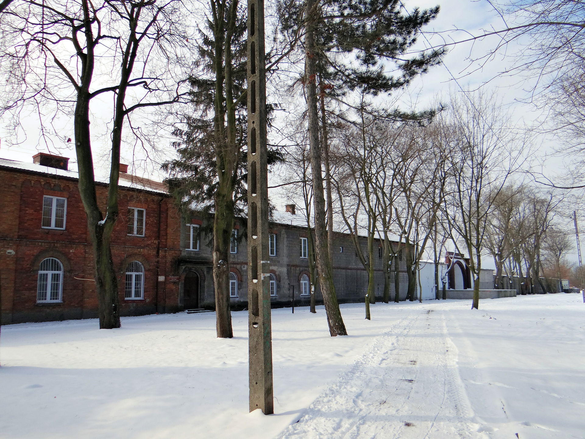 Borowiczki view 5