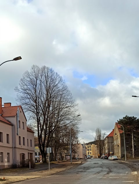 Sobięcin view 2