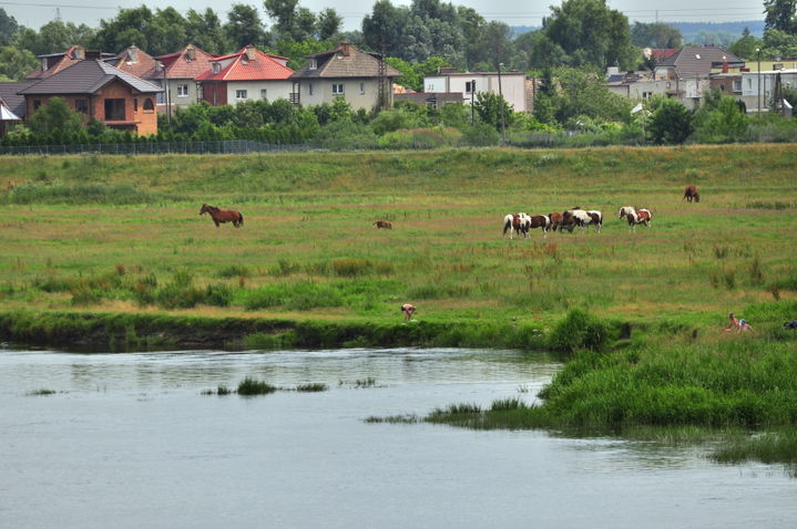 Zakanale district