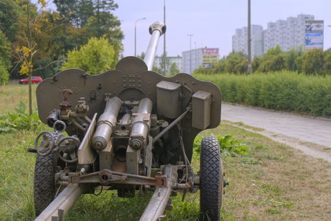 Górczyn view 2
