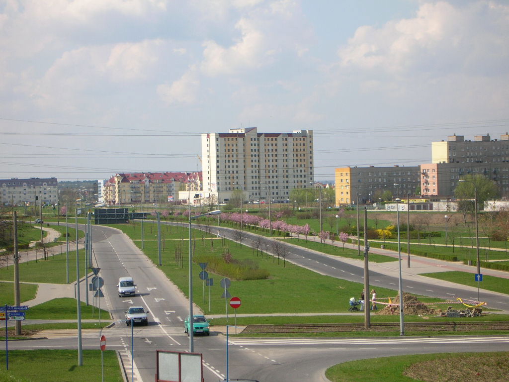 Górczyn view 5