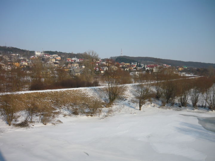 Zawiśle district