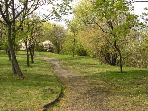 Zazamcze view 2