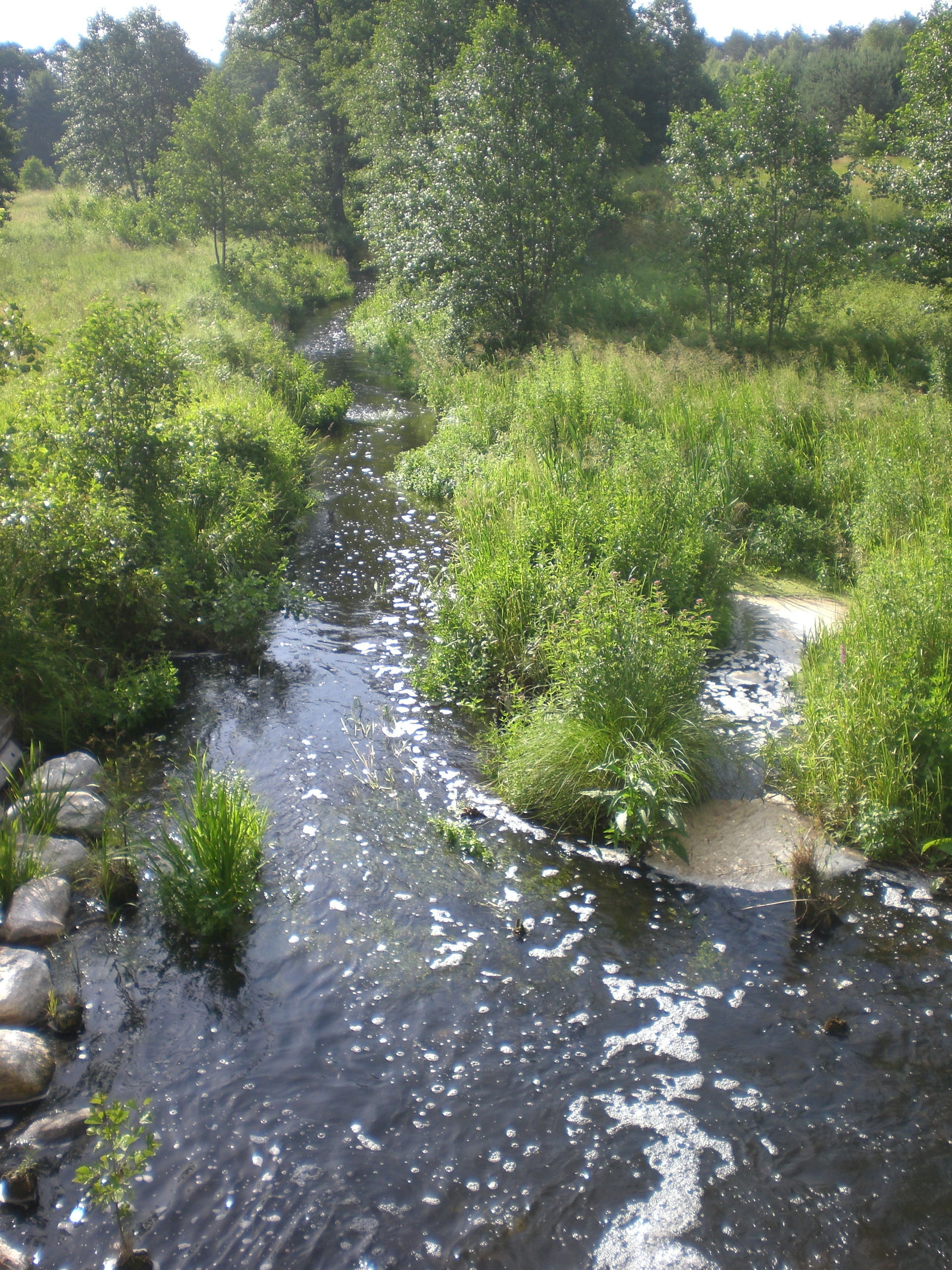 Zawada view 2