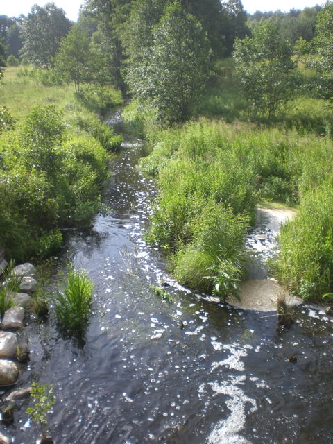 Zawada view 2