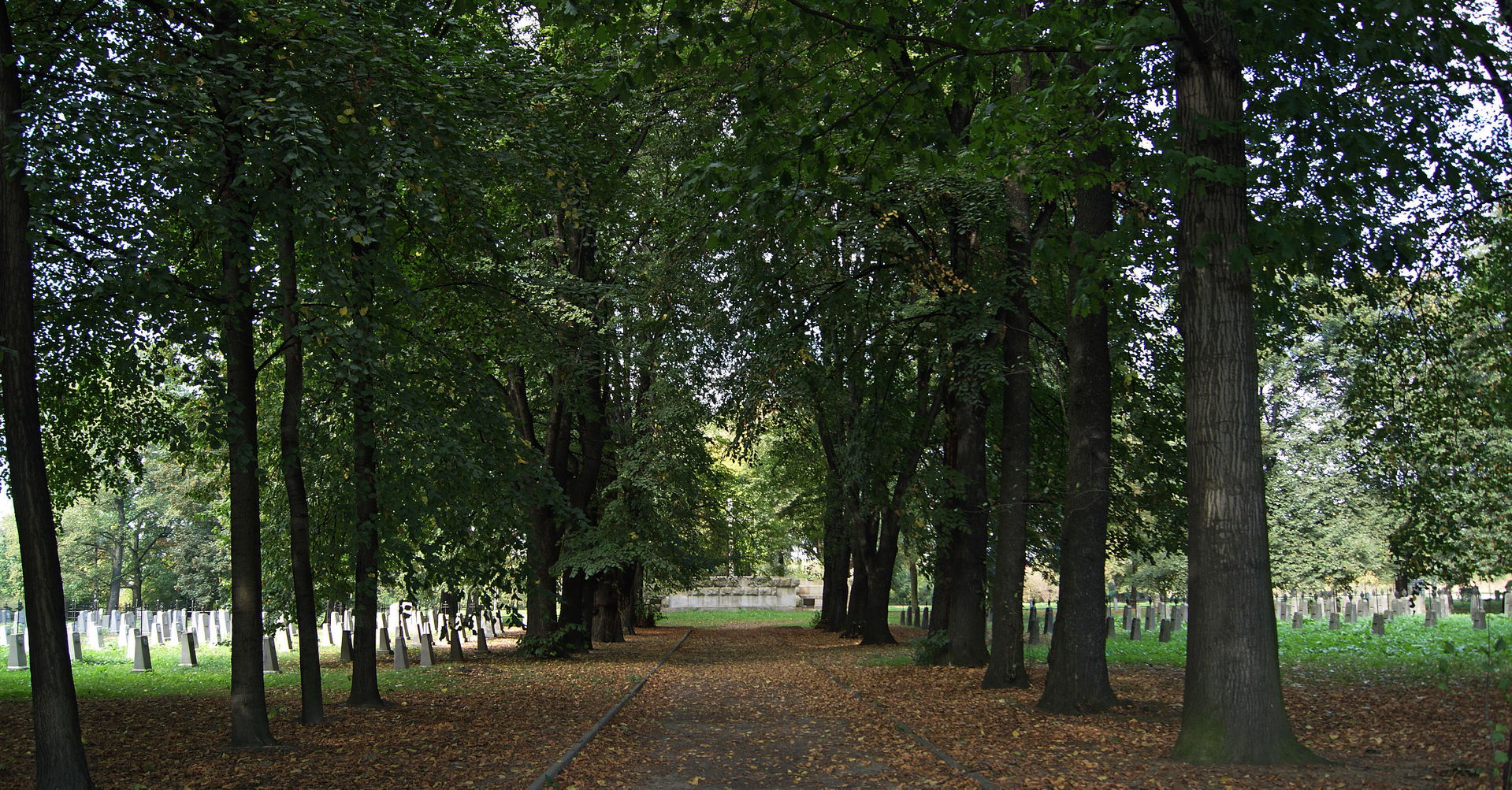Chyszów view 2