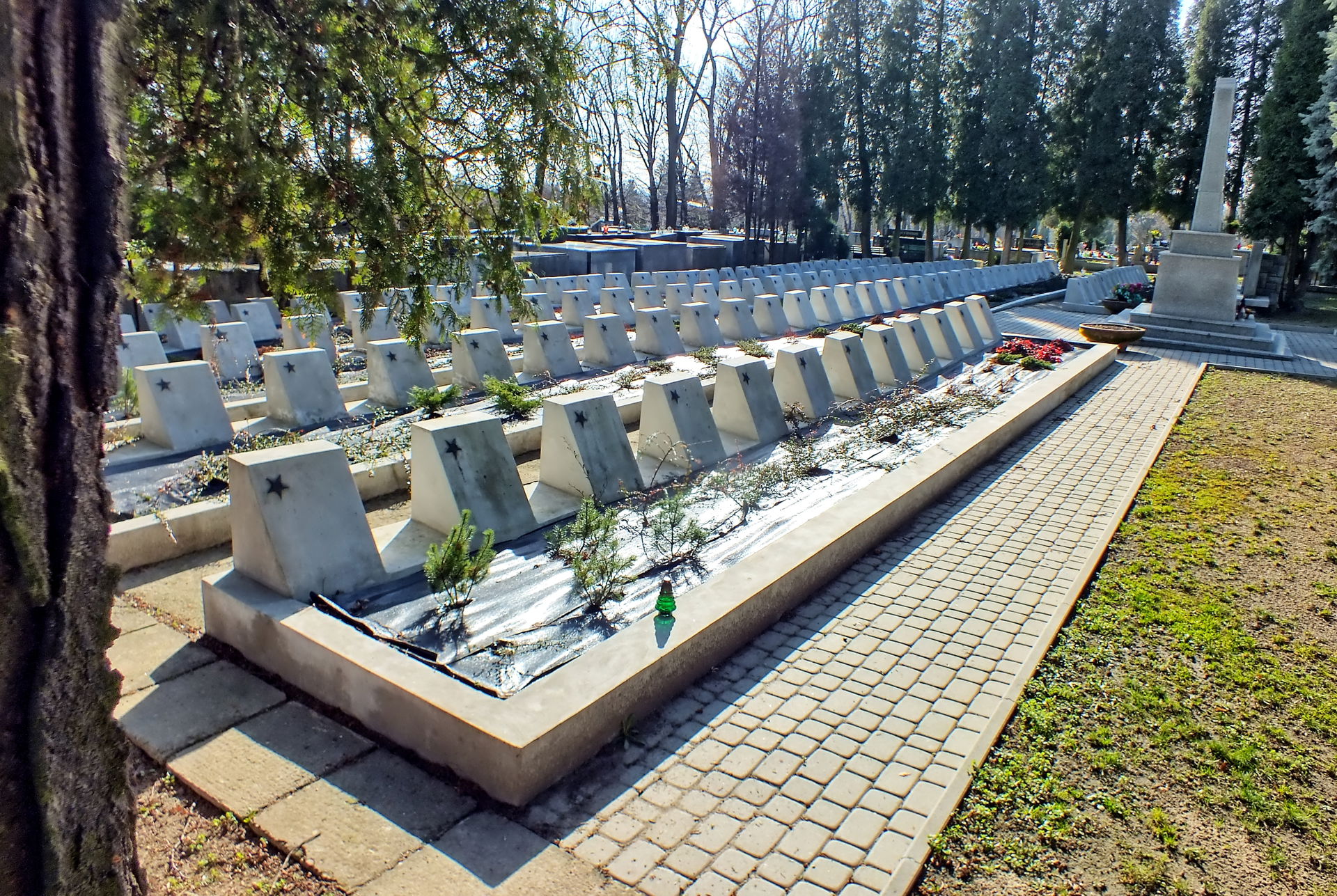 Tarnów - Krzyż -kwatera żołnierzy Armii Czerwonej - Armia Czerw…