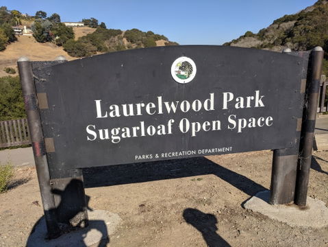 Laurelwood view 2
