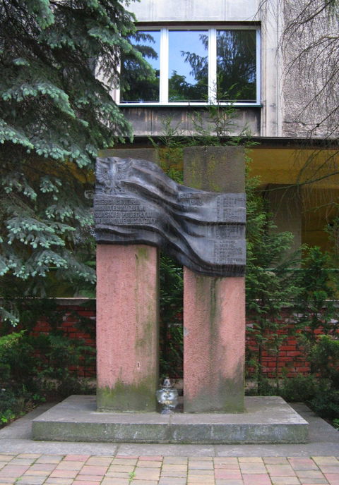 Maciejkowice view 1